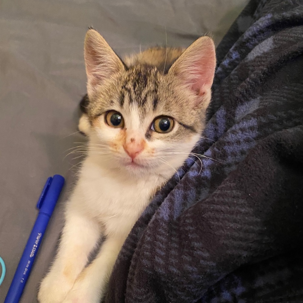 Meet your Posher, Andy